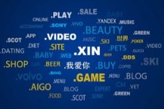 2025年网站域名选择指南:主流 .com/.net 与小众后缀的全面比较