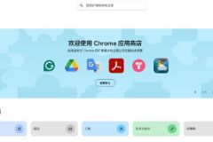 2025年国内安装Chrome插件全攻略：无需翻墙，轻松上手