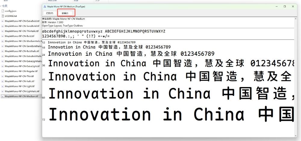 Windows Maple Mono字体安装使用教程