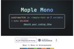Windows Maple Mono字体安装使用教程
